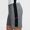Nike academy dri-fit short