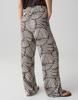 OPUS Broek Marou botanical