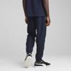 Puma mcfc ftblarchive pant