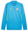Puma mcfc training 1/4 zip top