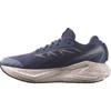 Salomon aero glide 4 hardloopschoenen