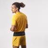 Salomon pulse belt