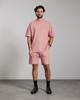 Aeden Shorts A22242833-504