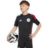 adidas ajax amsterdam tiro 25 competition training voetbalshirt kids