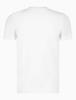 Cavallaro Logo T-Shirt 117235001 Off White