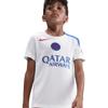 Nike psg strike third