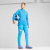 Puma mcfc training 1/4 zip top