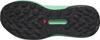 Salomon genesis