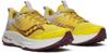 Saucony ride tr2