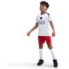 Nike psg strike third