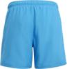 Adidas sportswear essentials logo clx kids zwemshort