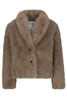 Taupe