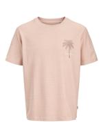 Roze