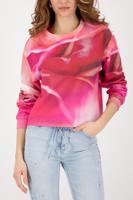 Roze