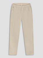 Bruin