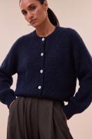 Blauw