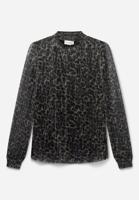Bruin