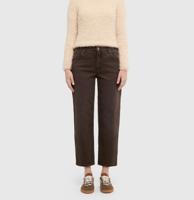 Bruin