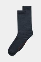 Grijs
