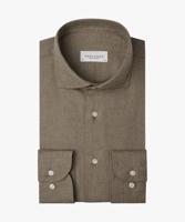 Bruin