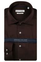 Bruin