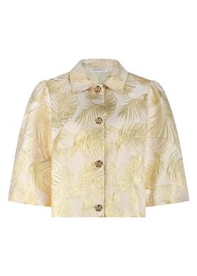 Tramontana Jack C39-19-801