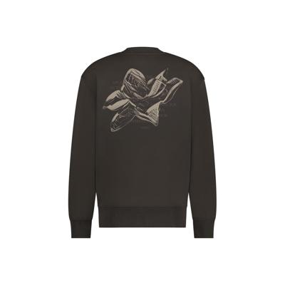 Aeden Sweater Viggo A22242954 - Ganache