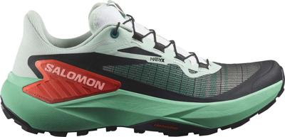 Salomon genesis