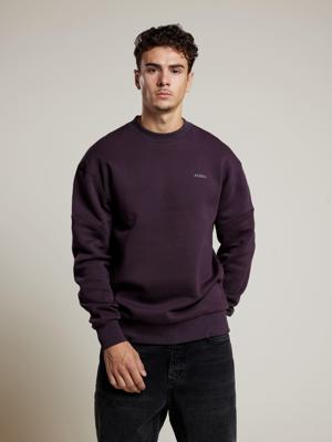 Aeden Sweater A22243082-509