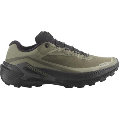 Salomon genesis 2 gtx hardloopschoenen