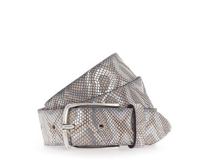 Vanzetti Riem V5606A6627