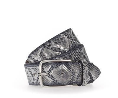 Vanzetti Riem V5606A6627