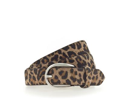 Vanzetti Accessoire V6205R3212