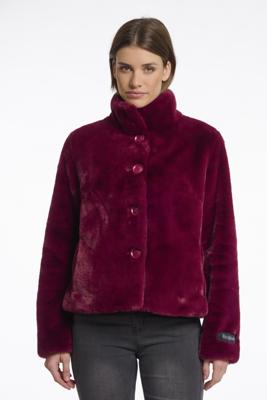 Rino&Pelle Jack Vie.7002511 | Wijnrood