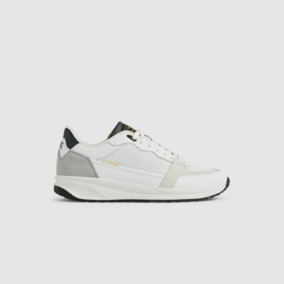 PME-Legend Schoenen PBO2503170