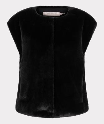 Esqualo Jack F25.37500