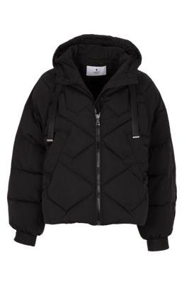 Simple Jack Gilia Wv-Ita-Pa-25-3