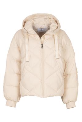 Simple Jack Gilia Wv-Ita-Pa-25-3