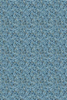 R.B. Boston Overhemd 527670