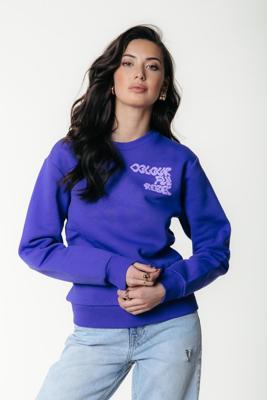 Colourful Rebel Sweater WS416799