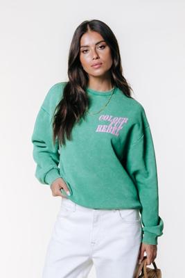 Colourful Rebel Sweater WS417632