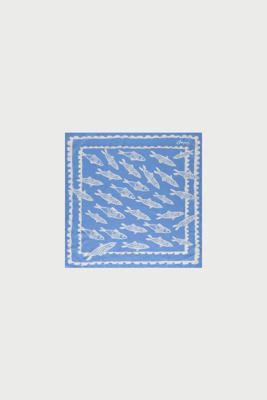 Fabienne Chapot Sjaal ACCSCA01SS260242