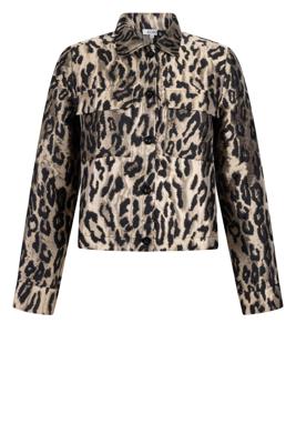 ZOSO Jack 255Dalia