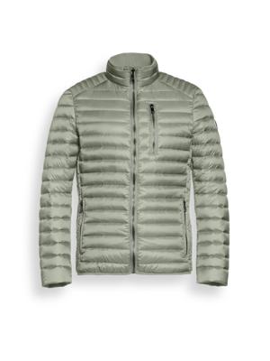 Reset Jas MR02710261/6280