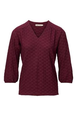 Dreamstar Top W25 105 Kane