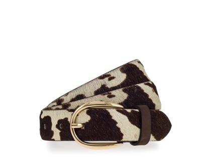 Vanzetti Riem V6266R3219