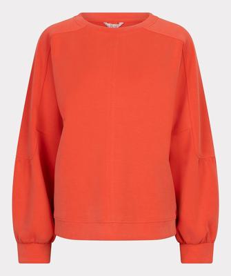 Esqualo Trui SP26.05000