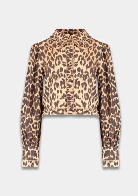 Harper & Yve Blouse AW25P609