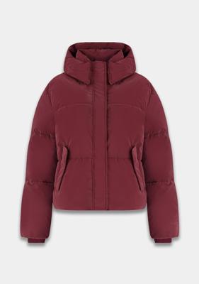 Harper & Yve Jack AW25N201