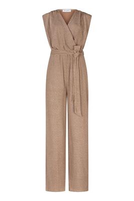 Lofty Manner Jumpsuit RD227